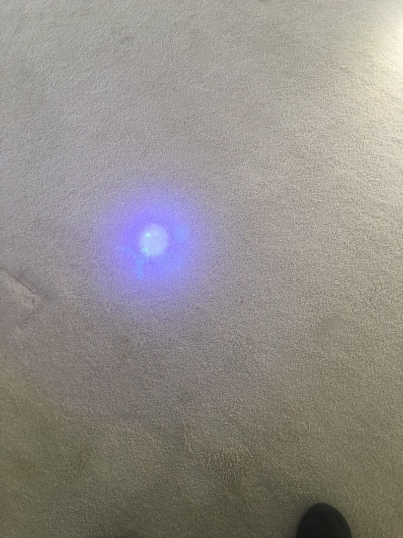 image.jpeg