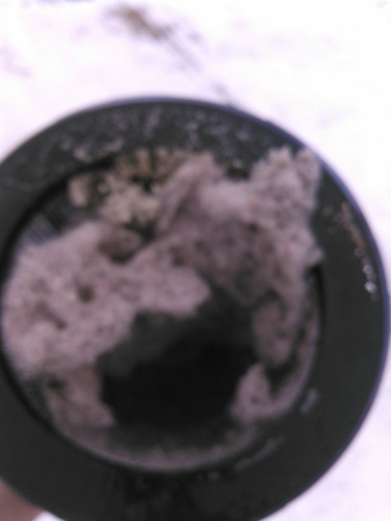 KIMG0227.jpg