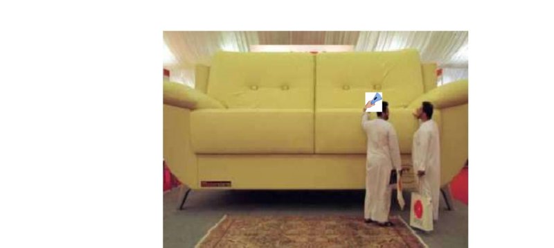 largest couch and sapphire.jpg