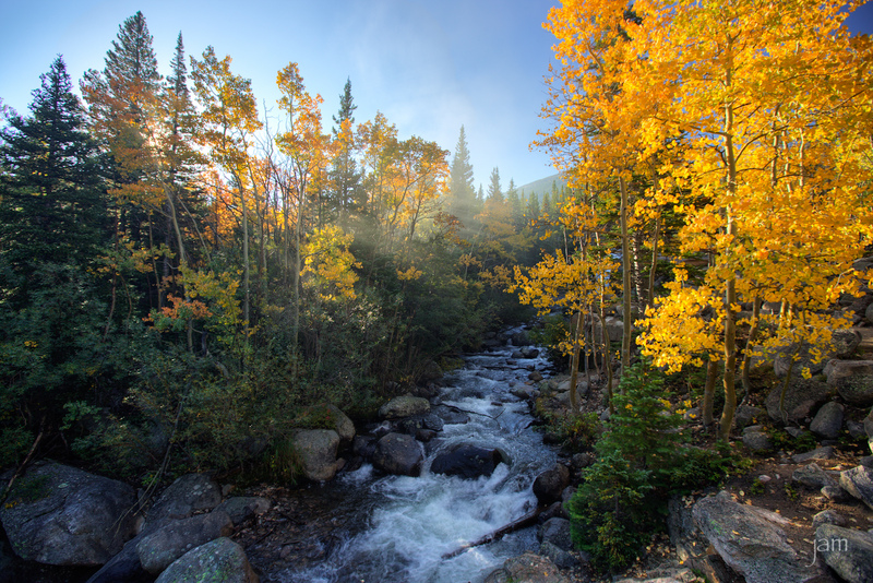 LightAspens_6632-5.jpg
