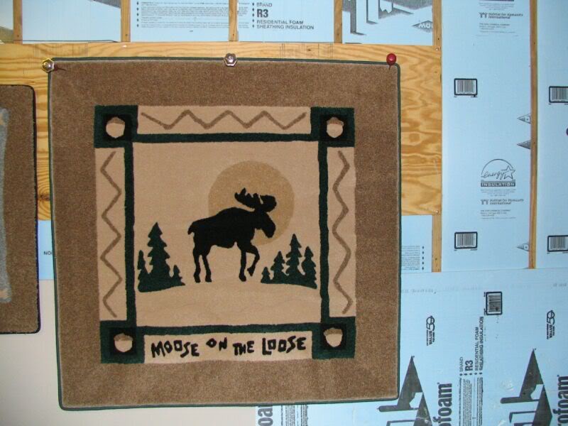 mooseonloose.jpg