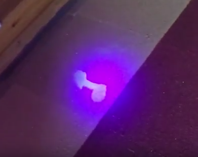 penis stain.PNG
