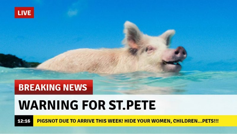Pigsnot.jpg