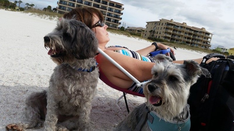 Puppies in Paradise part 3.jpg