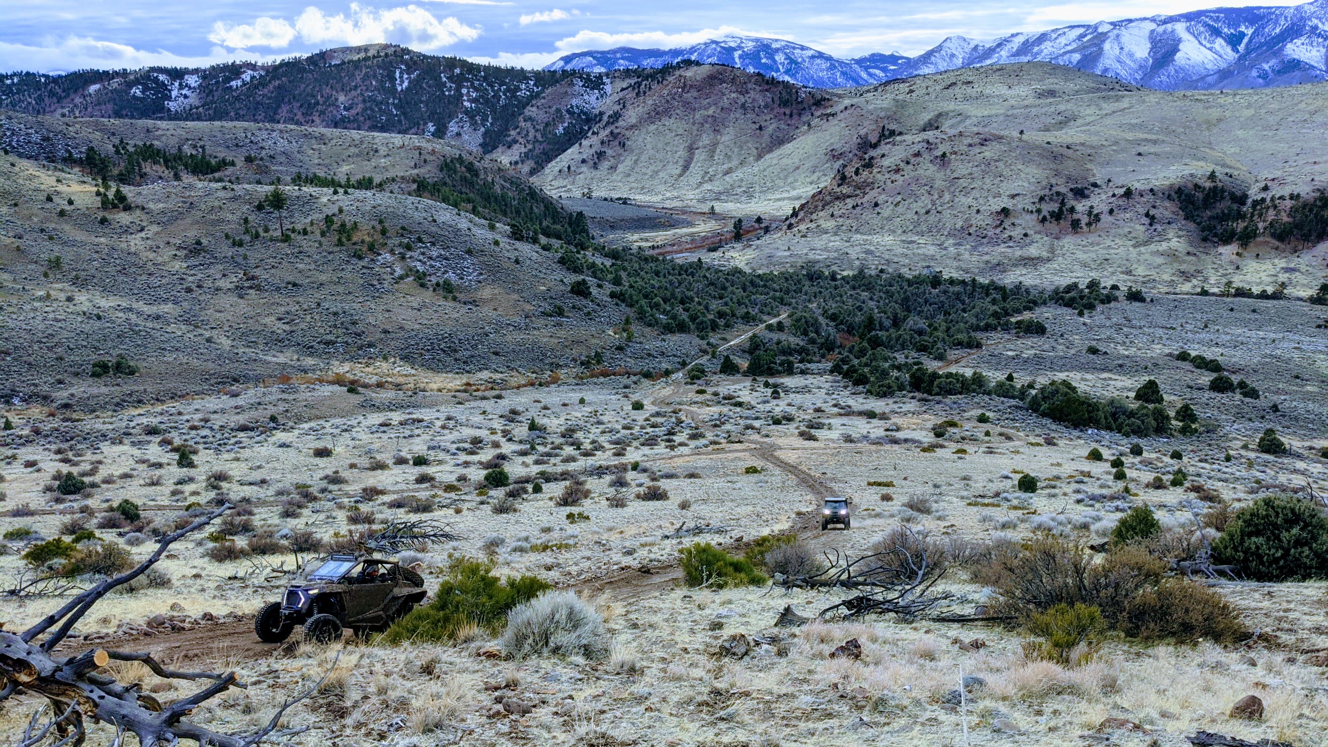 PXL_20210102_234830674.jpg