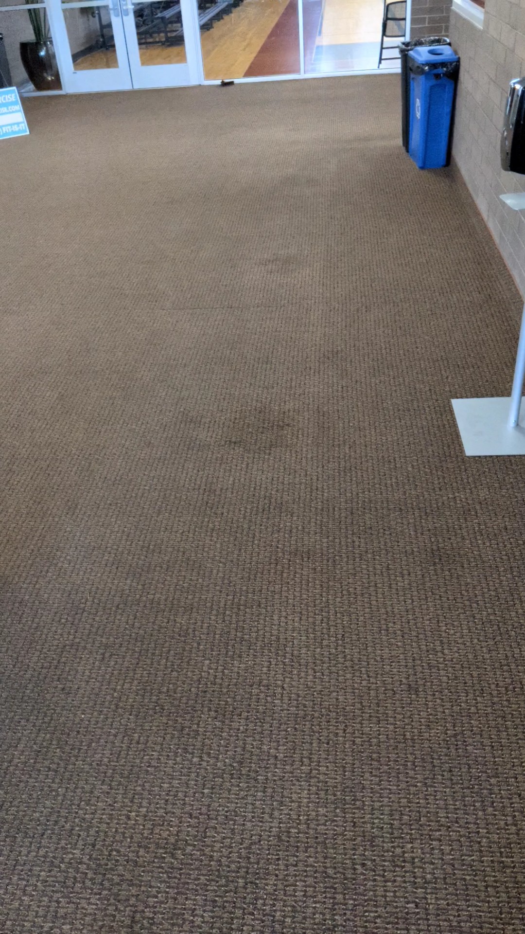 PXL_20210521_162958250._exported_1349_1621616389709.jpg