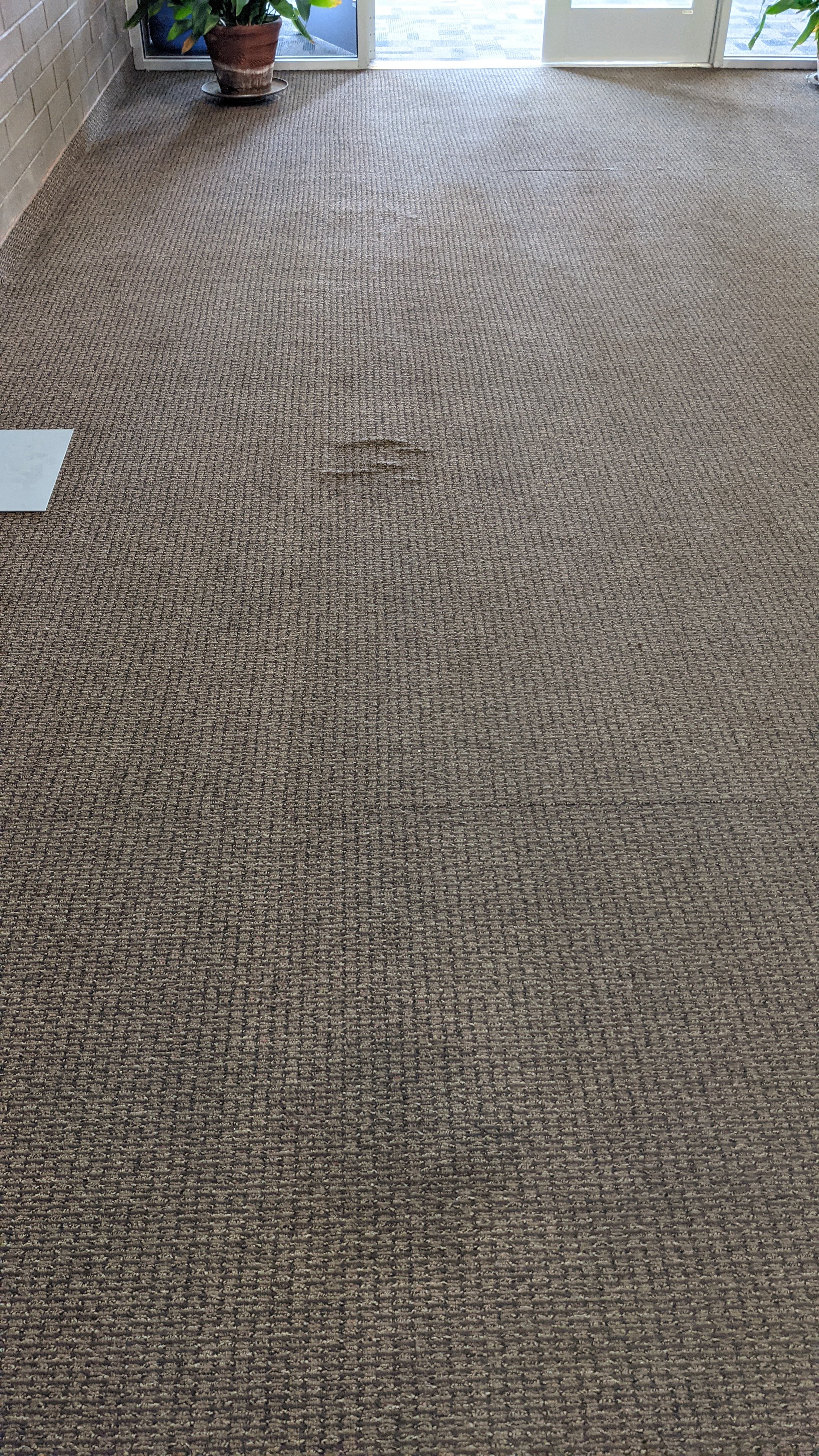 PXL_20210521_165139923.jpg