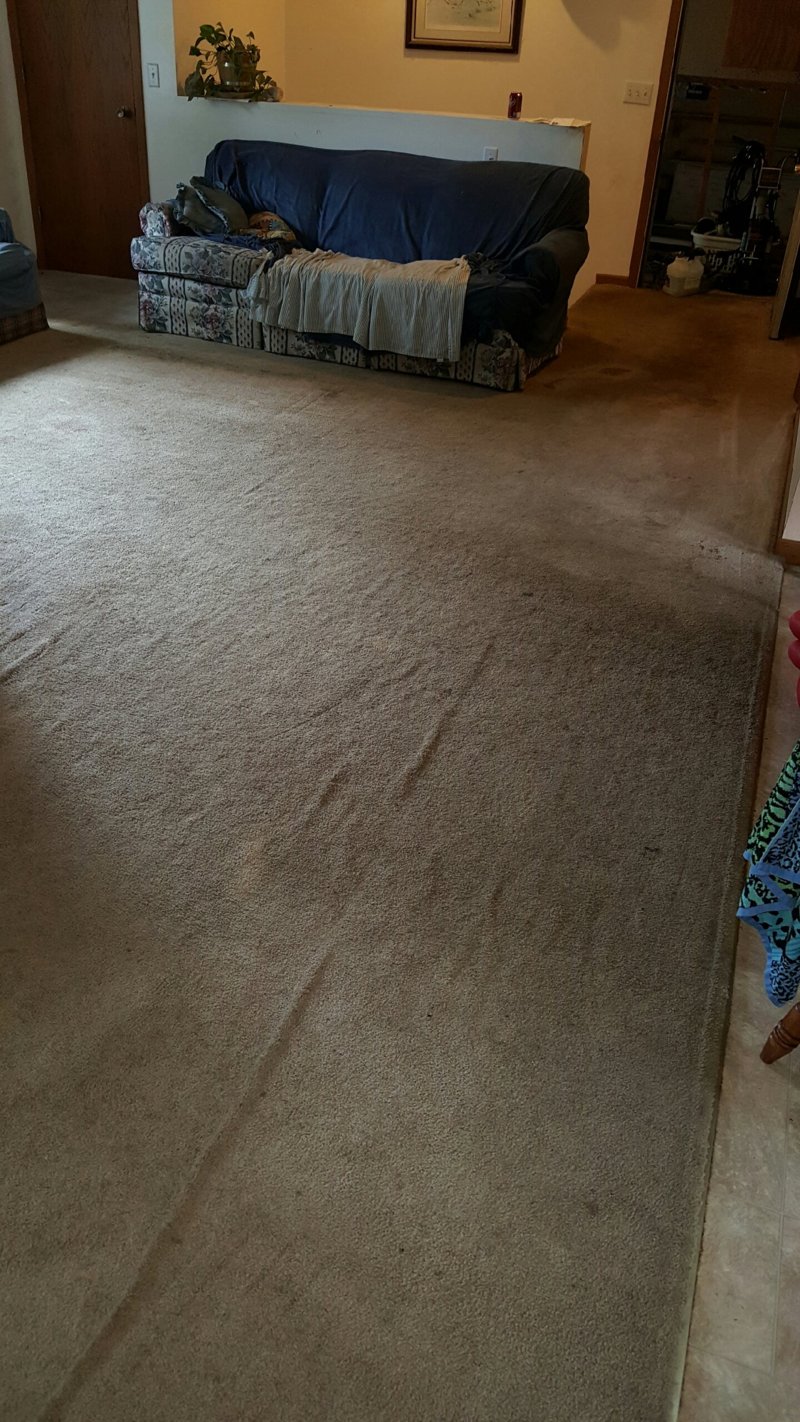 Resized_20160810_145037.jpeg