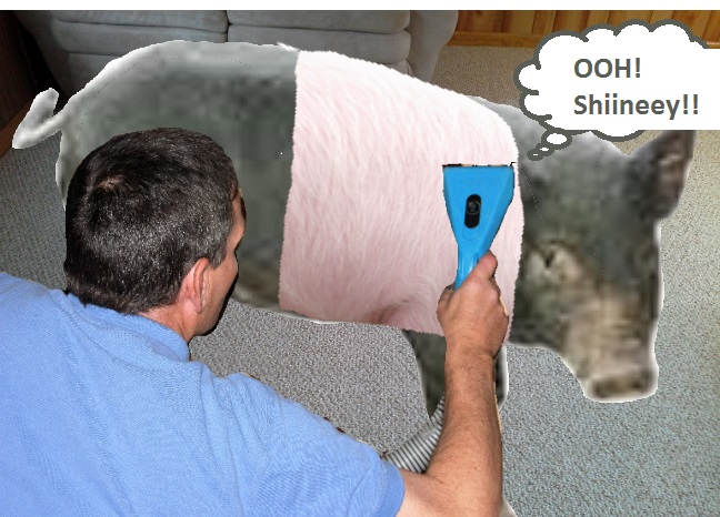sapphire pig.jpg