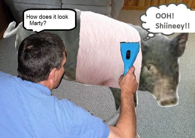 sapphire pig.jpg