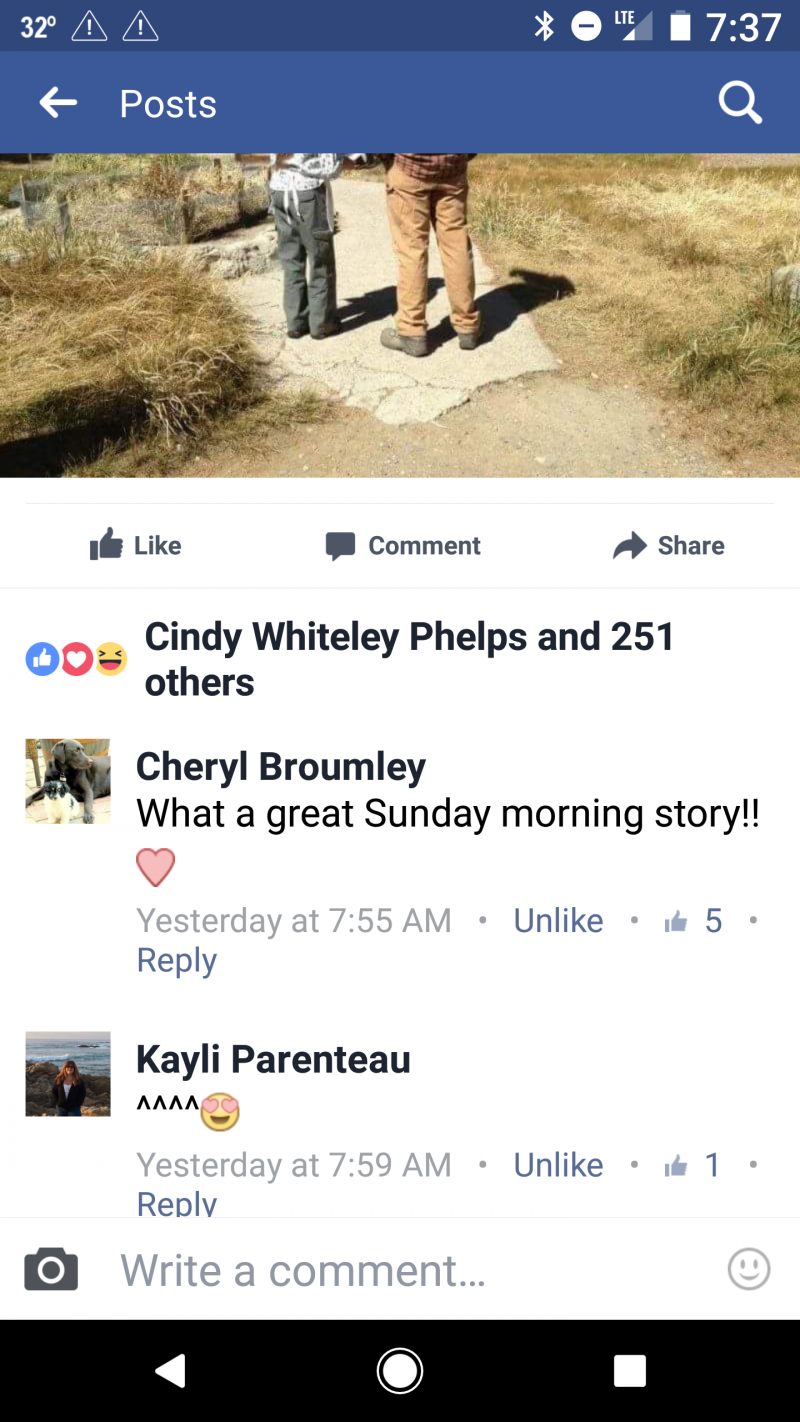 Screenshot_20170327-073740.png