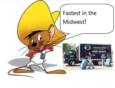 Speedywdr.jpg