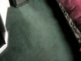 th_BeforeGreenCarpet.jpg