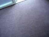 th_greenie005.jpg th_greenie005.jpg