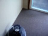 th_greenie006.jpg th_greenie006.jpg