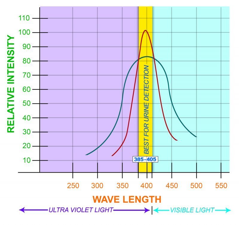 uv-chart flashlights.jpg