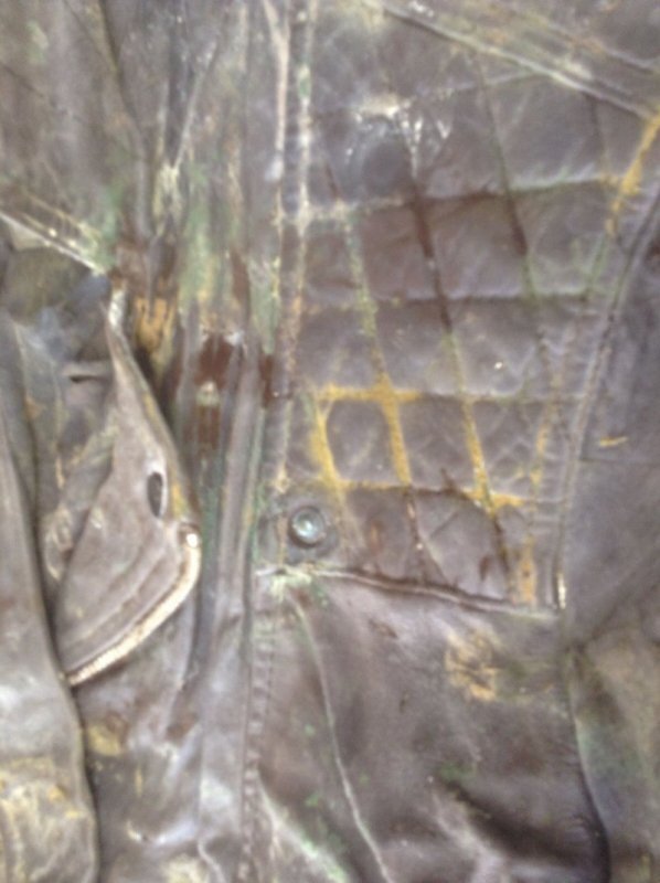Mouldy LJ 3.jpg