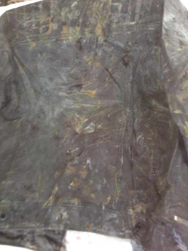 Mouldy LJ 5.jpg