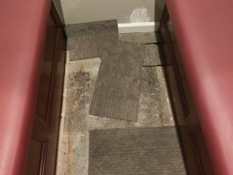 IMAG0164.jpg