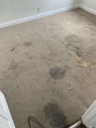 hcarpetcleaning.com