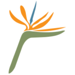 paradisepoint.com